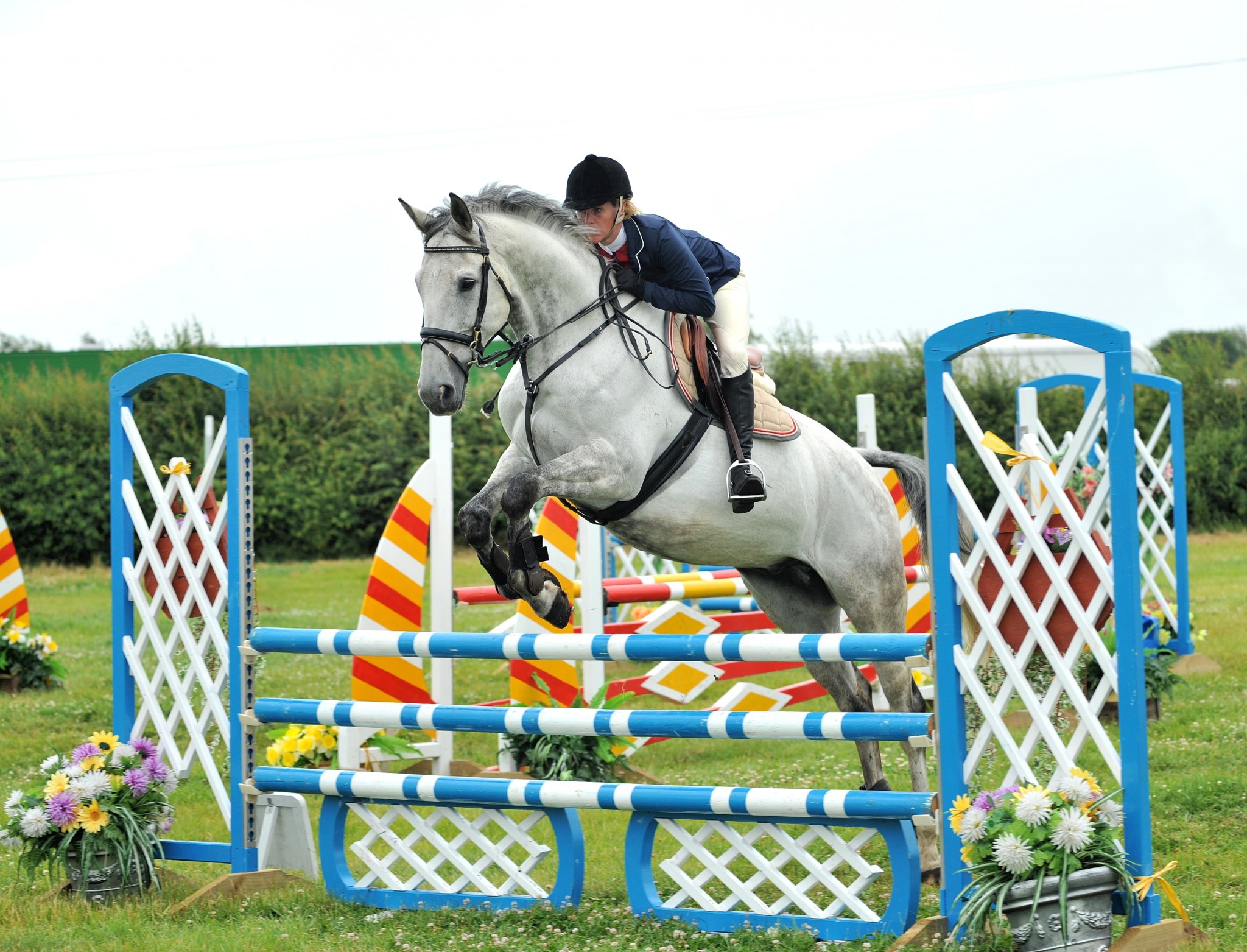 Sally Dunnett Hercules II Ashby Show Credit www.equipics.co .uk  - Sally Dunnett Qualifies for the Nupafeed Supplements Senior Discovery Championsh