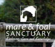 cropped three foals close plus logo - Dazzling displays, summer stalls and patron appearance at Sanctuary’s Open Day