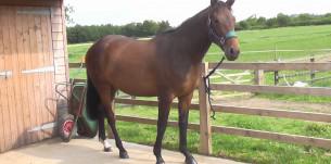 Picture 004