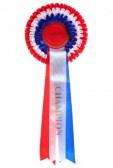 6444219 rosette with the word champion isolated on a white background - Last chances for 2012 qualification