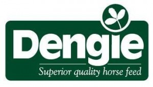 Dengie logo1 300x172 - Feeding Tips to Weather the Winter