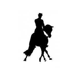 Experienced International Competition/Events Groom required dressage piccy - Experienced International Competition/Events Groom required