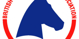 BETA logo
