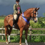 SEIBAmanda Chatfield on Kingsclough Masquerade 1 Hunter copyright SMR Photos 150x150 - Impressive Turnout At Vale View, South Essex Insurance Brokers Search For A Star Qualifier