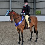 SEIBEllie Conwayn on Rotherwood Mr Pepys 1 Pony copyright SMR Photos 150x150 - Impressive Turnout At Vale View, South Essex Insurance Brokers Search For A Star Qualifier