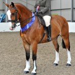SEIBKayleigh Stockdale on Warren House Patrick 1 Cob Copyright SMR Photos 150x150 - Impressive Turnout At Vale View, South Essex Insurance Brokers Search For A Star Qualifier