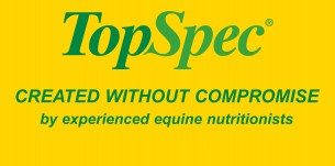 TopSpec logo