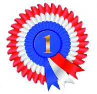 rossette - A fantastic championship show!