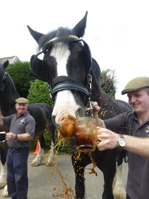 Wadworth Shire Horses receive heartwarming holiday send off Wadworth - Wadworth Shire Horses receive heartwarming holiday send off