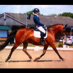 Izzy Palmer competition 150x150 - Para dressage rider lands bedding sponsorship deal