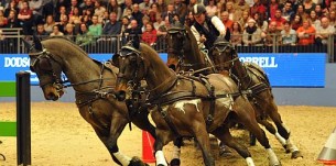 London International Horse Olympia 2014