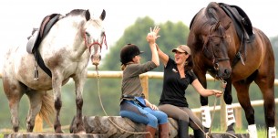 Parelli Courses