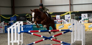 Stallion Showcase