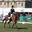 16805607681A06D5F7 - Belton bustles in the sunshine