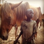 Boy and horse 150x150 - Vets with Horsepower 2015 ride again for the Gambia Horse and Donkey Trust