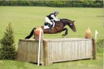 TakeIt2TheLimit 150x100 - Northern Stallion Showcase moves to Cumbria
