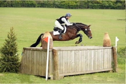 TakeIt2TheLimit 436x291 - Northern Stallion Showcase moves to Cumbria