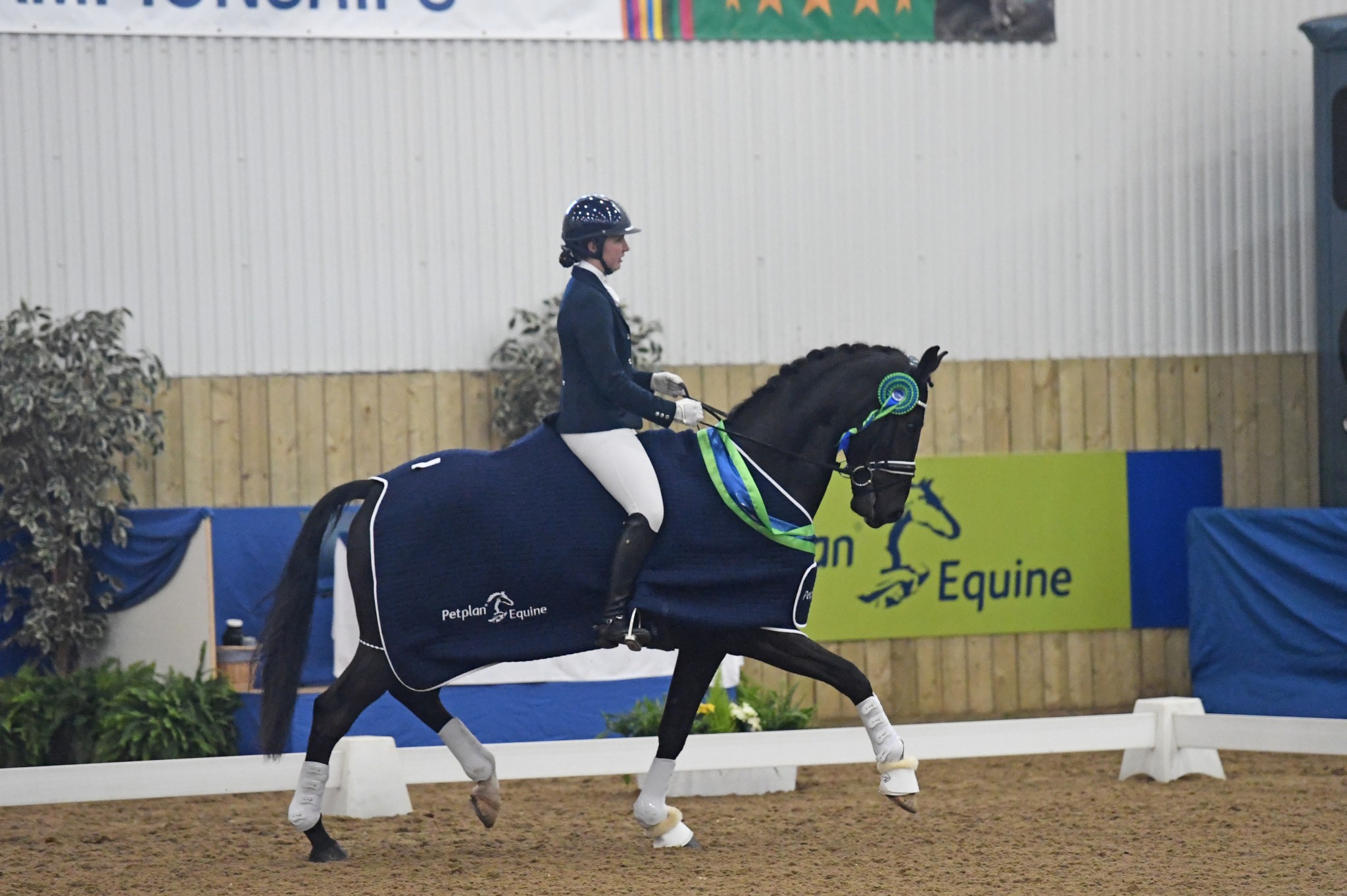 Novice Open and High Achiever Charlotte Barber - Lincolnshire Dressage Rider is Awarded PetPlan Equine High Achiever Award 2016