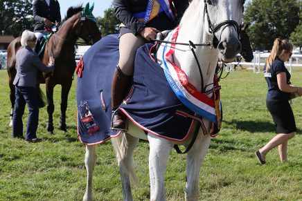 E4SC8921 CLASS 31 CLUB CHAMPIONSHIP 1.00M 436x291 - National Club Horse Championship