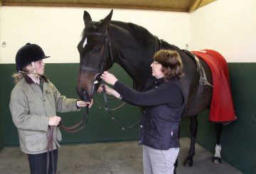 Checking the bridle 360x245 - The Importance of Fitting a Bridle Correctly
