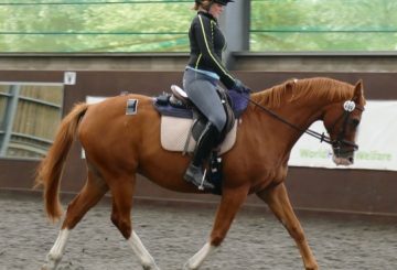 Moderate rider 3 2 360x245 - Landmark pilot study addresses effects of rider weight on equine performance
