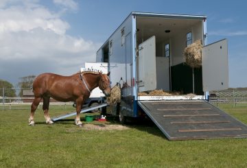 lorry image 360x245 - Is your Lorry or Trailer Still Legal for Season Ahead?