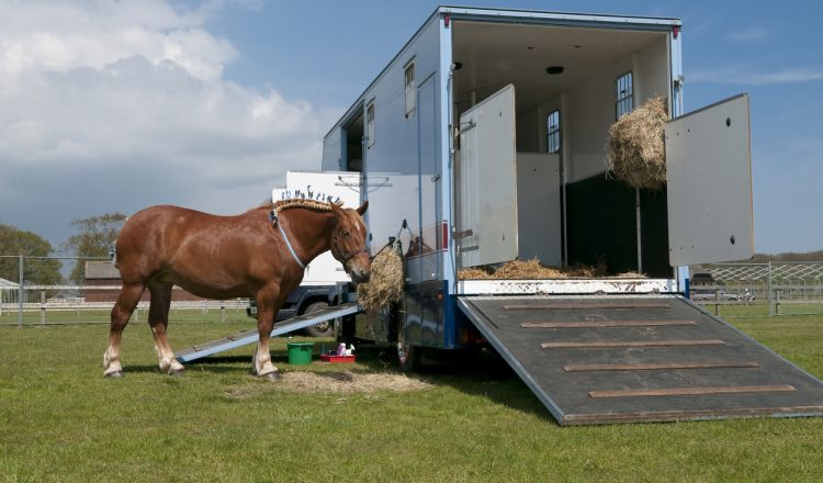 lorry image 750x440 - Is your Lorry or Trailer Still Legal for Season Ahead?
