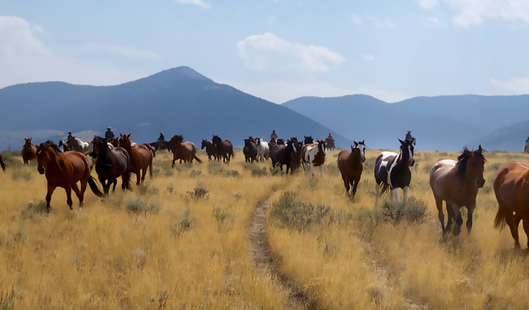 Medicine Lodge Horse Drive Idaho Ranch Rider 750x440 - How To Saddle Up On More Challenging Trails For Less