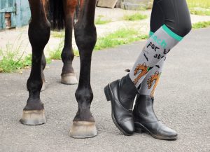 Reach For The Stars 300x217 - My Horse Box Launch My Horse Sox