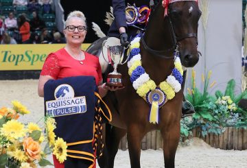 Class 27 Equissage Pulse Ridden Partbred Pony of the Year Championship Lucy Glover 360x245 - Five-year-old performs beyond his years to take Equissage Pulse Ridden Partbred Pony of the Year honours
