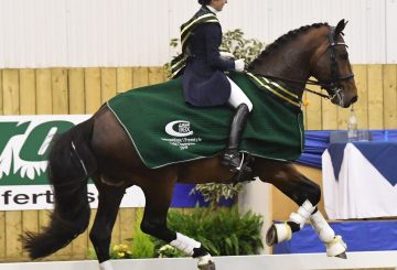 Nikki Crisp and Durable 360x245 - Horse & Country TV Showcase NAF Five Star Winter Dressage Championships