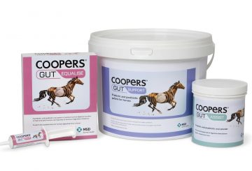 Coopers Gut Range 360x245 - Coopers® Gut Survey Finds Over Half of Horse Owners Use Gut Supplements to Help Improve Equine Health