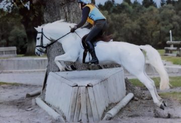rosemary 1 360x245 - Rosemary and Tilly prove there’s life after laminitis!