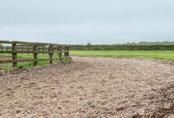 TopRide fibre surface 360x245 - Cotswold based racehorse trainers launch equestrian surface company