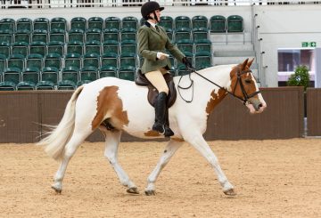 Eleanor Currington 360x245 - The SEIB Search for a Star Riding for the Disabled Championship
