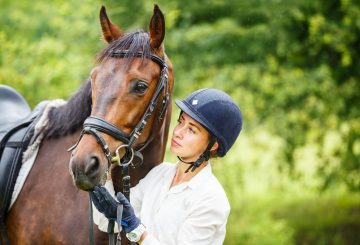 petcoveruk 360x245 - Is your horse or pony insured? 