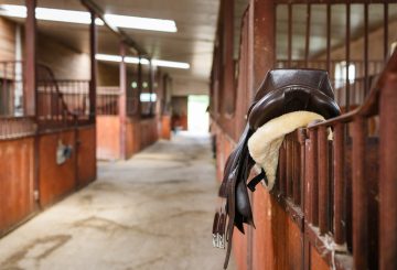 stable block 360x245 - Keeping It Legal