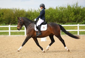 Katie Branley on Bunny 360x245 - The Road to the British Dressage Home Internationals