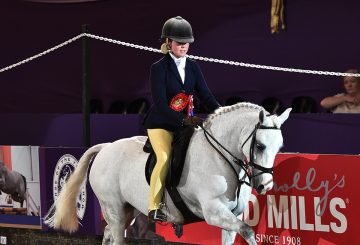 National Pony SocietySnuggy Hoods Working Hunter Pony of the Year Chloe Lemie 1st Class 360x245 - Coco Bongo is the National Pony Society/Snuggy Hoods Working Hunter Pony of the Year