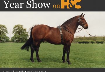 Live Showing Action from Arena UK on Horse & Country Rare Breeds 360x245 - Live Showing Action from Arena UK on Horse & Country