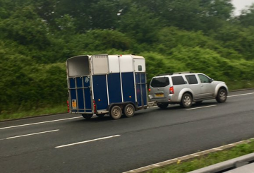 m5 horse 360x245 - ‘No-deal’ Brexit Green Card update for horsebox and trailer owners