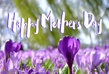 Happy Mothers Day 1 1 360x245 - Sustainable British products for Mother’s Day