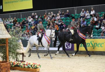 Linsfort and Rambo 360x245 - Dates announced for SEIB Search for a Star and Racehorse to Riding Horse 2020 qualifiers