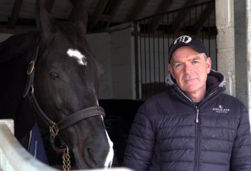 Alan Davies Masterclass with NAF image 360x245 - Super Groom Alan Davies stars in new series from Horse & Country in partnership with NAF