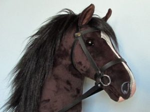Valegro HHs 300x225 - You can still do your bit!