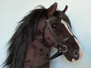Valegro HHs - Auction winner invited to meet World Champion Valegro