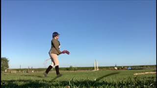 polly - Taking it to the next level with Dressage Anywhere's Hobbyhorse Dressage Online