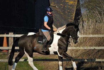 horse rider and her horse