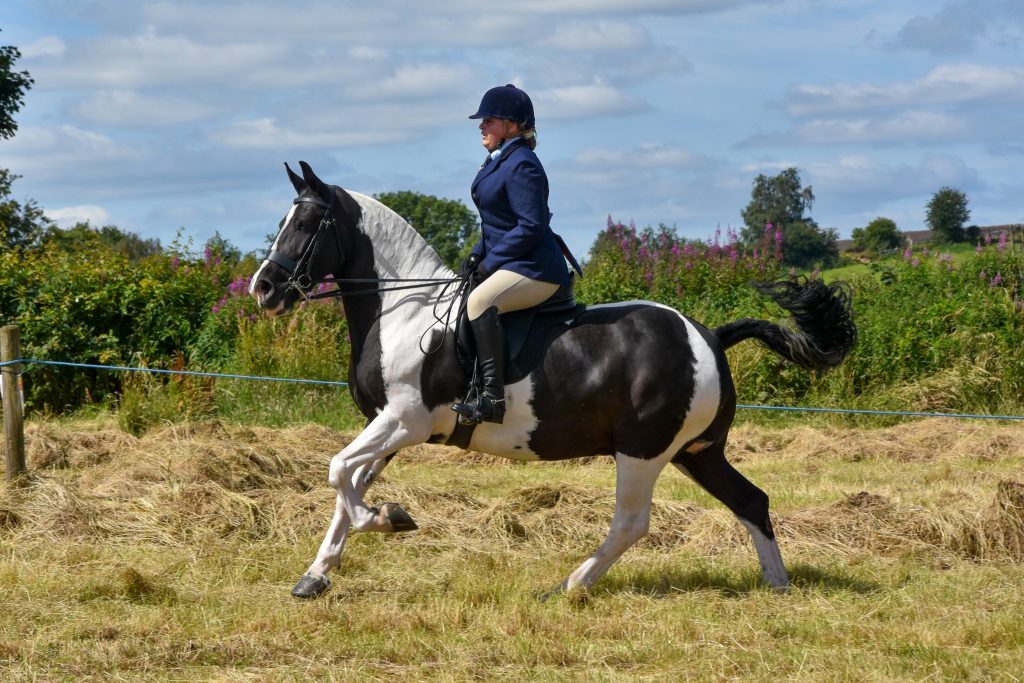 Emily Jane Coope Mr Darcy 1024x683 - Photo Show News