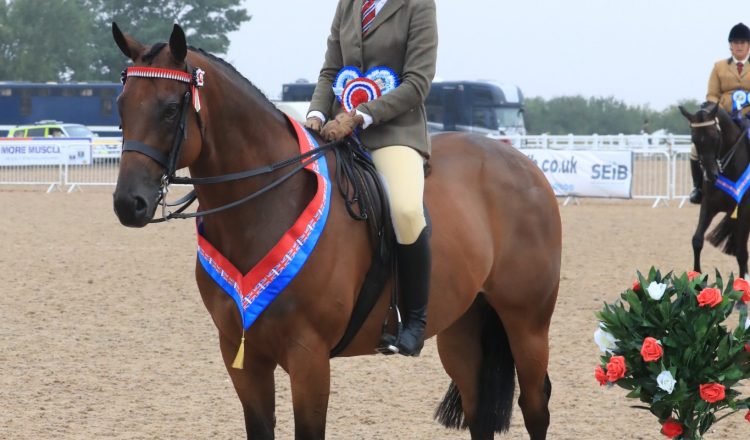 Bobby McGoldrick and Mumford C Equinational 750x440 - Mumford takes the SEIB Racehorse to Riding Horse Championship at UK National Championships